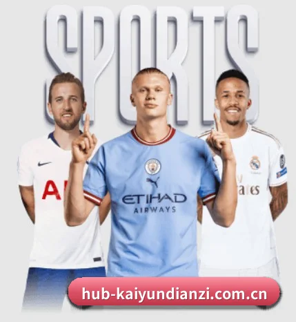 开云电子游戏 APP 界面